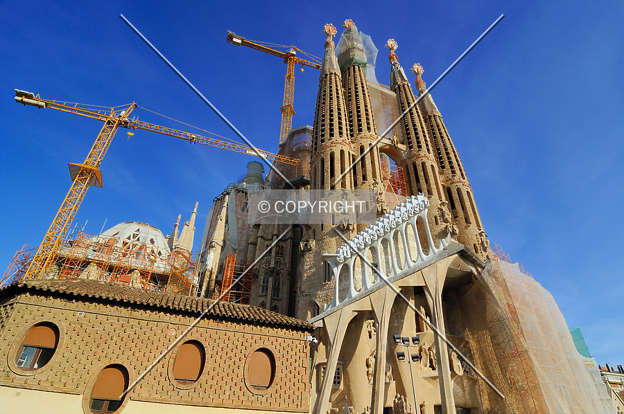 Temple de la Sagrada Família by David Guija