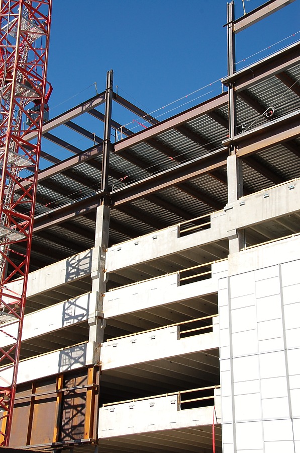 50 Fifty DTC by Brian LoBue