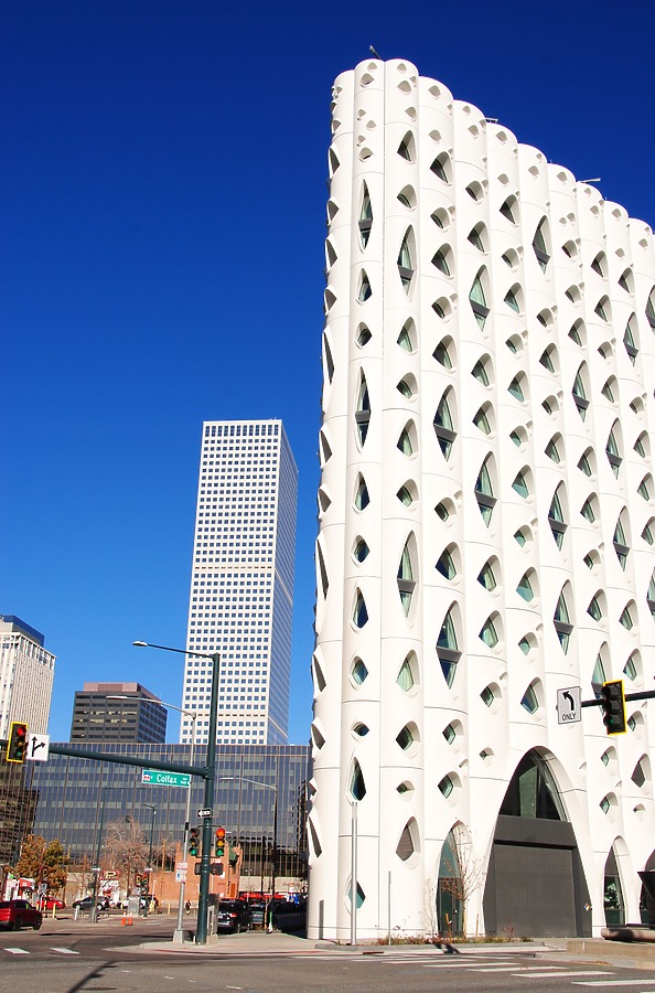 Populus by Brian LoBue