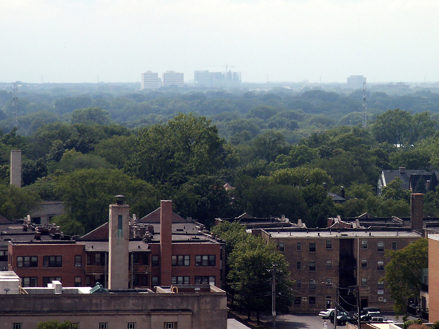 Optima Old Orchard Woods by Daniel Kieckhefer