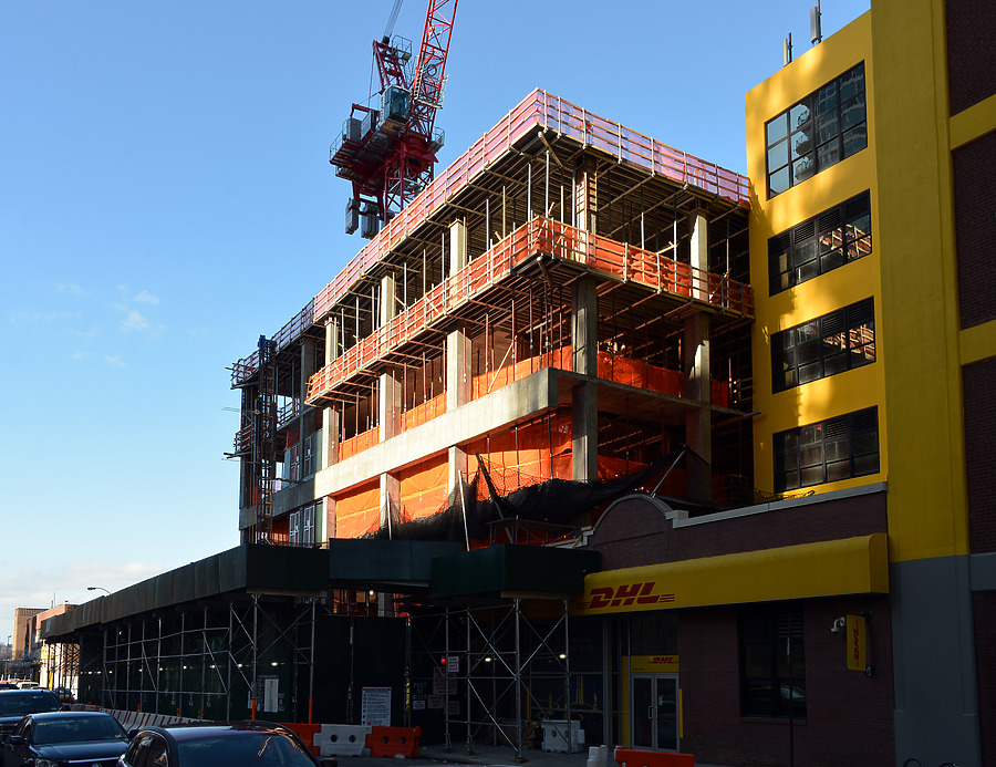 Henry Hall by John W. Cahill