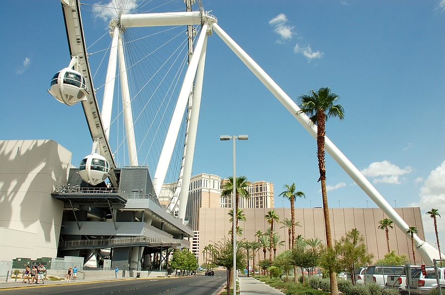 High Roller by Brian LoBue