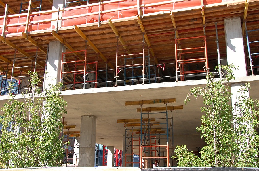 The Coloradan by Brian LoBue