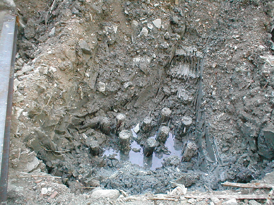 Hyatt Center by Tom Finnegan