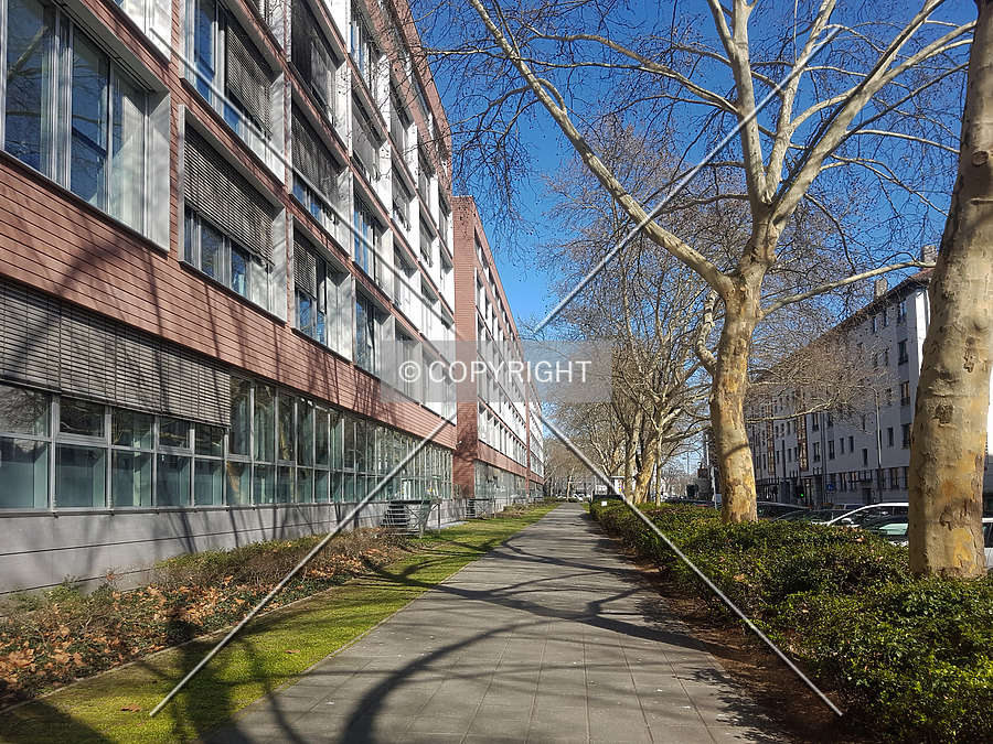 Allianz-Kai by Nephilim