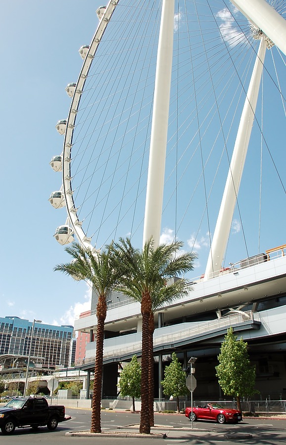 High Roller by Brian LoBue