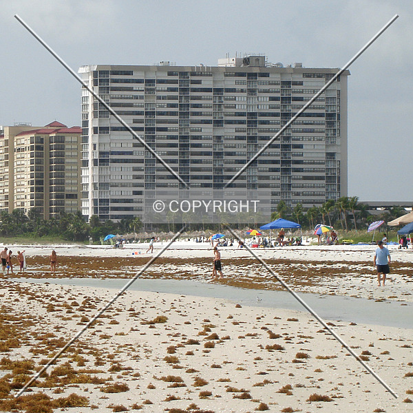 Gulfview Club of Marco by Nephilim