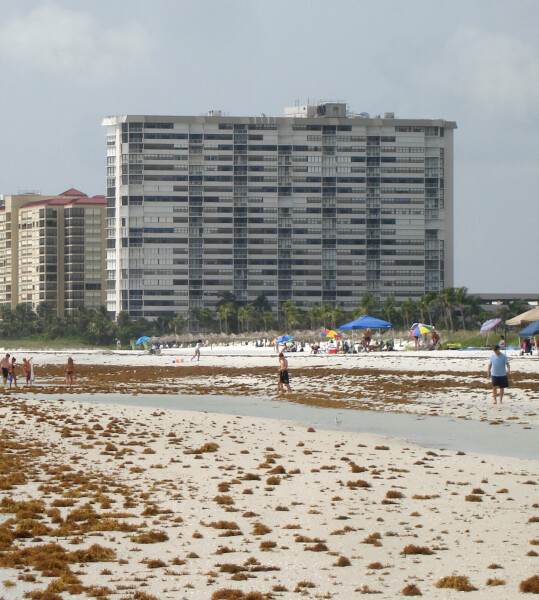 Gulfview Club of Marco