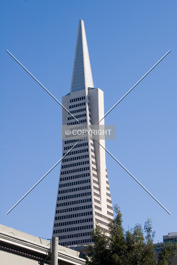Transamerica Pyramid by Martin Bugajski