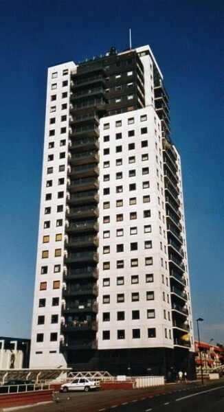 Hoogwitte