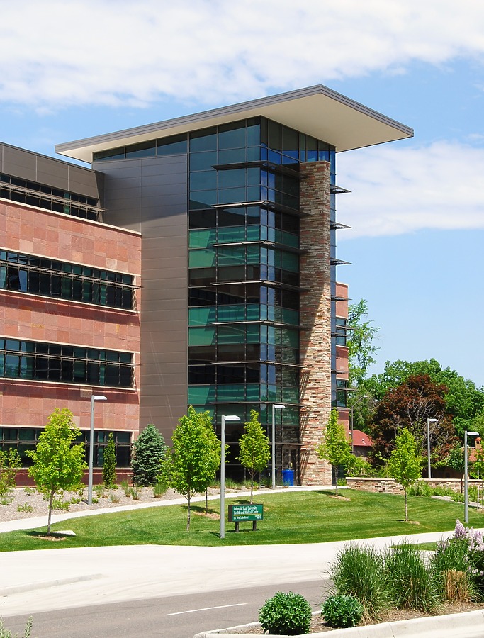 CSU Health & Medical Center by Brian LoBue
