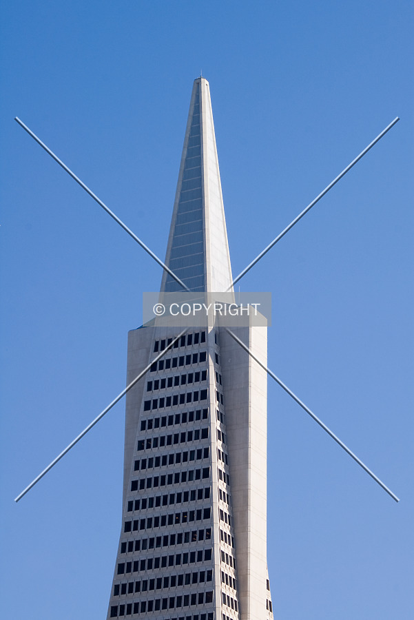 Transamerica Pyramid by Martin Bugajski