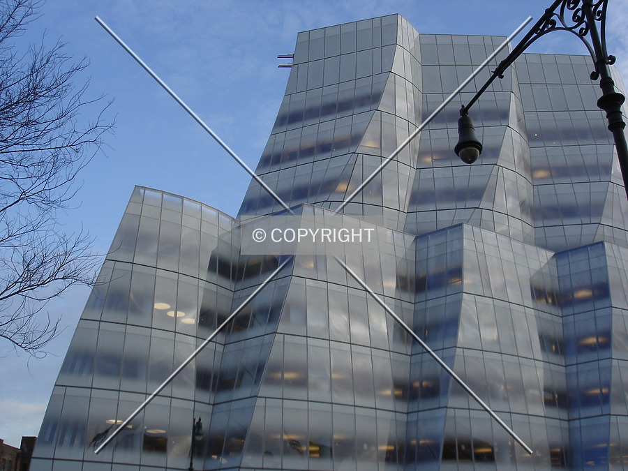 IAC Building by Royce Douglas