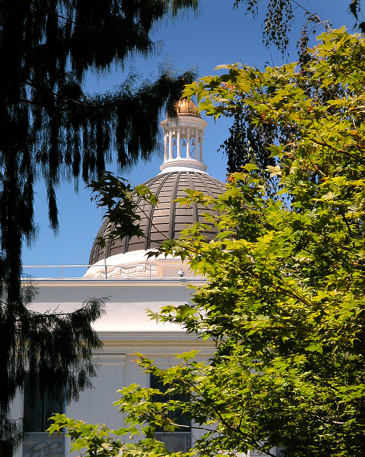 California State Capitol by Jim Schwartz