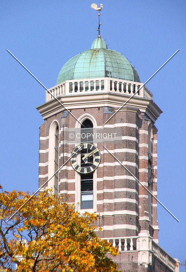 Peperbus by René Hogendijk