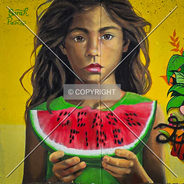 Saint Louis City Flood Wall (South Wall) by Ryan Hildebrand