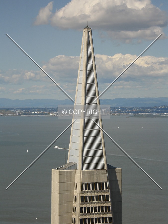 Transamerica Pyramid by Emmanuel D.