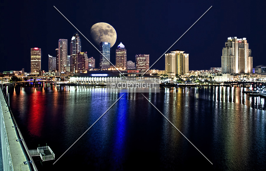 100 North Tampa by Jorge Molina