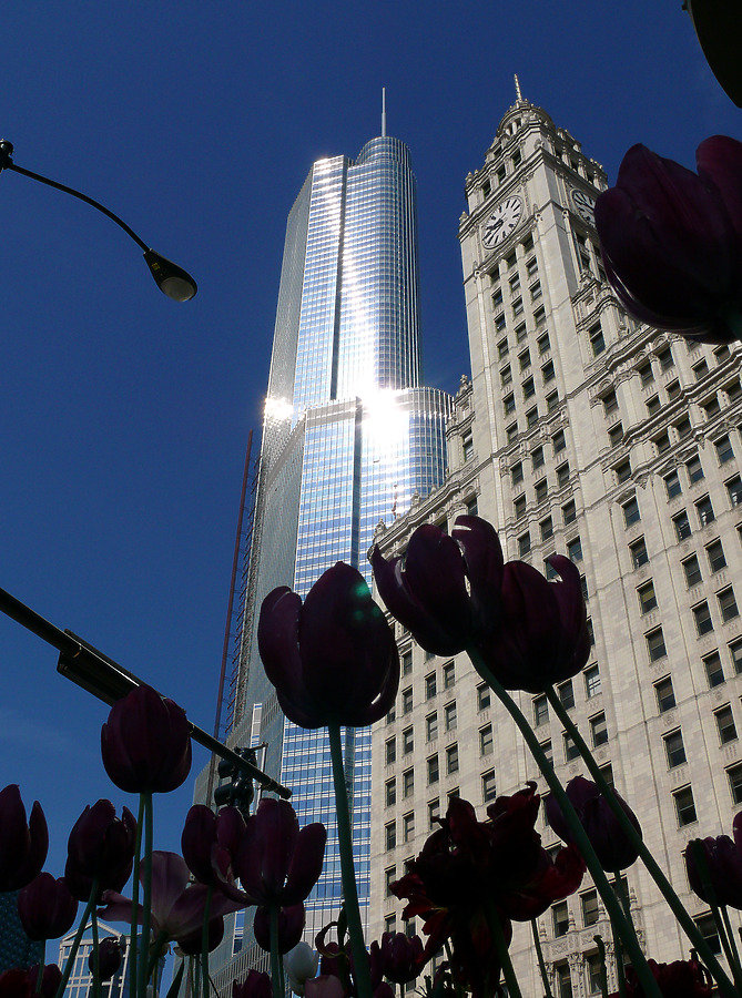Trump International Hotel & Tower by B. Victor Adams
