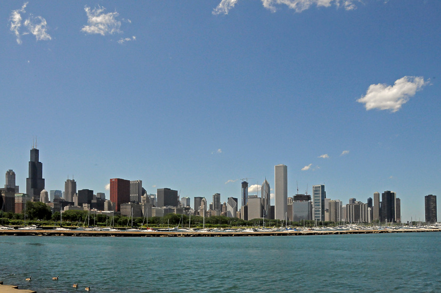 Trump International Hotel & Tower by Shawn Ursini