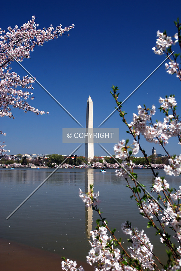Washington Monument by Royce Douglas