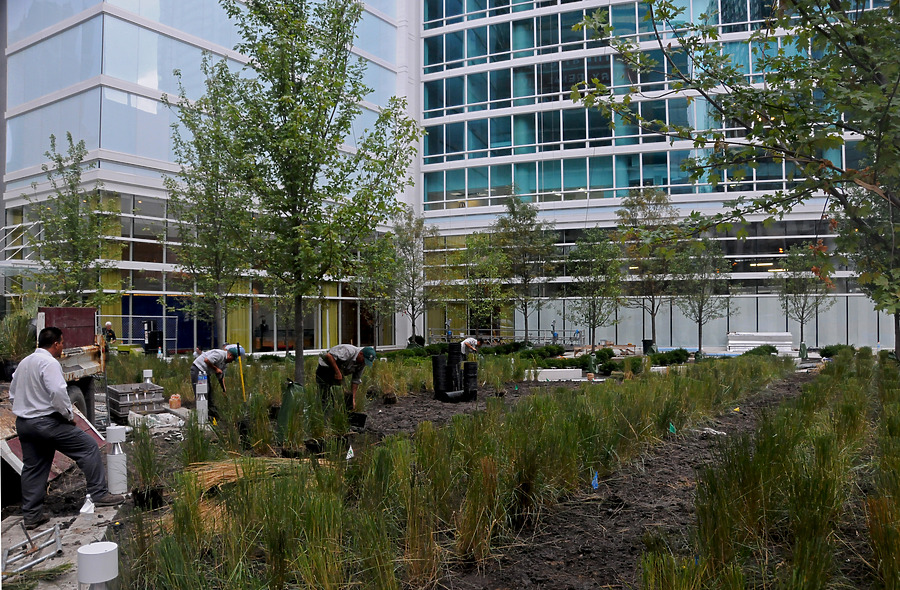 Streeter Place by Shawn Ursini