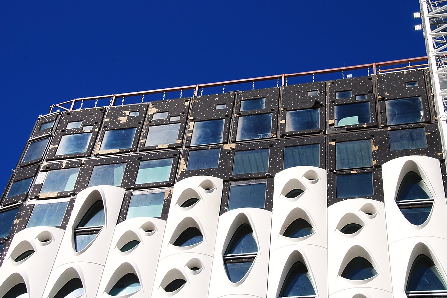 Populus by Brian LoBue