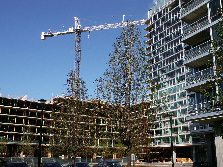 Optima Old Orchard Woods by Daniel Kieckhefer