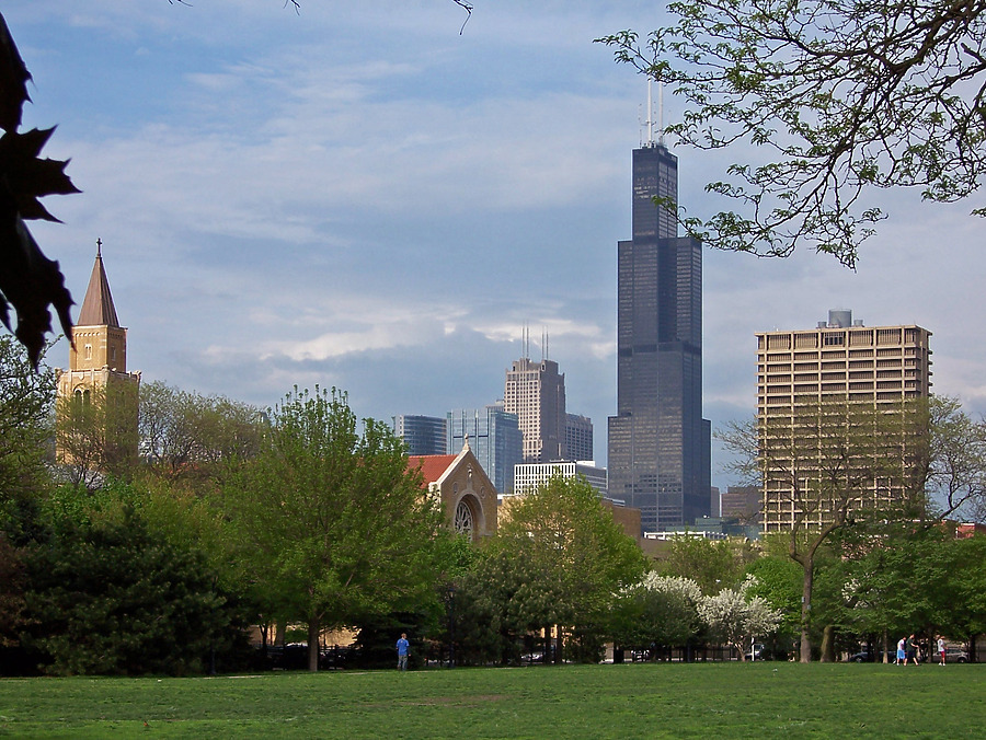 Willis Tower by Shawn Ursini