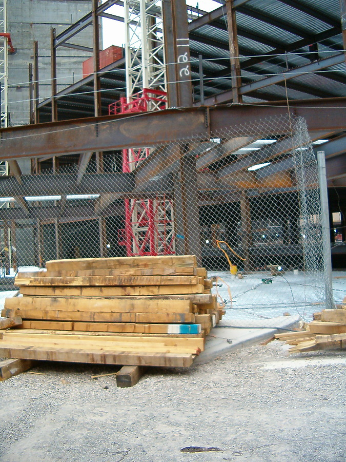 The Palazzo by Rodney Gunn