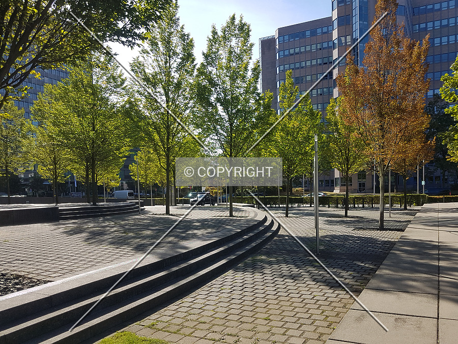 Herriot´s by Nephilim