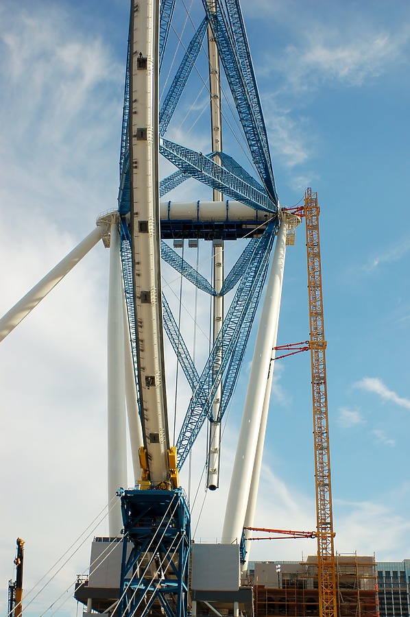 High Roller by Brian LoBue