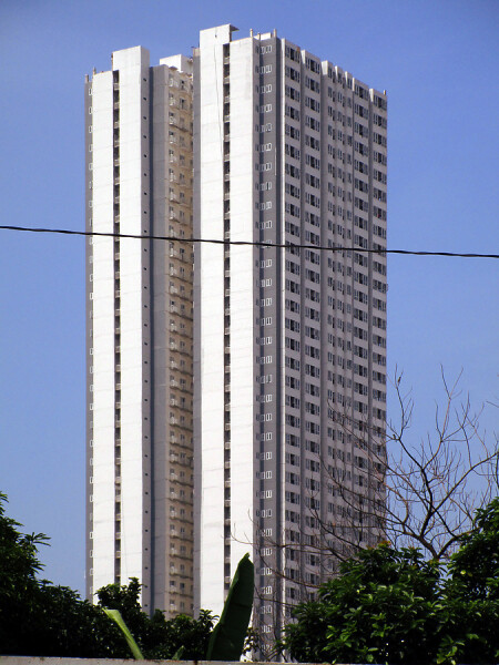 Victoria de Tomas Morato