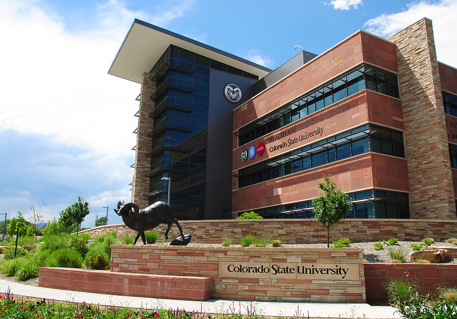 CSU Health & Medical Center by Brian LoBue