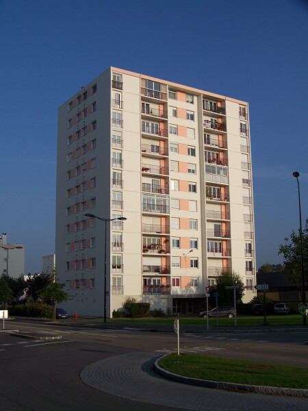 828-031-241