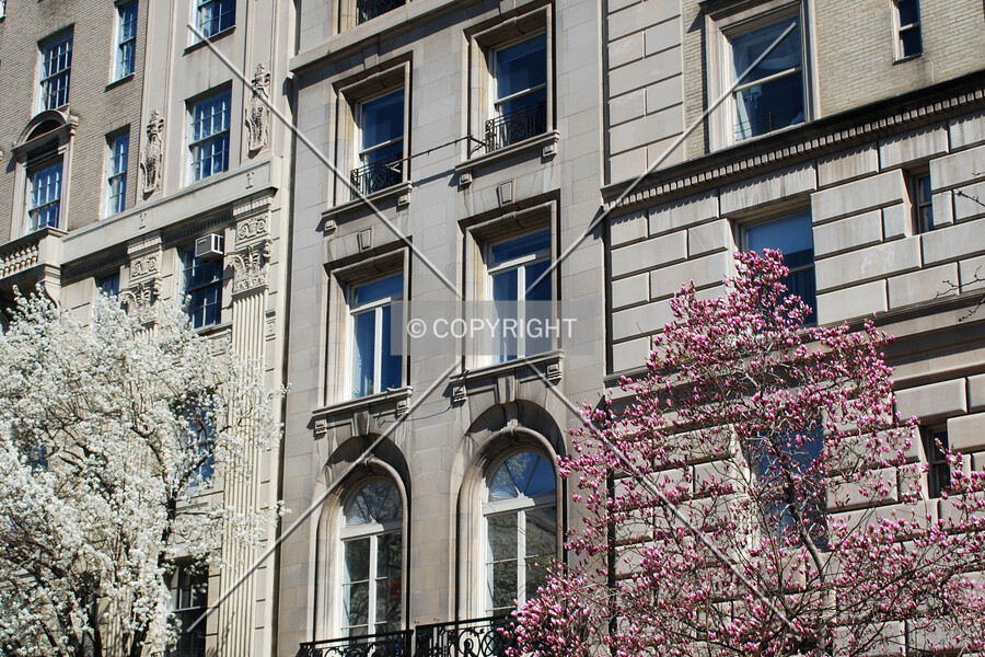 Goethe-Institut New York