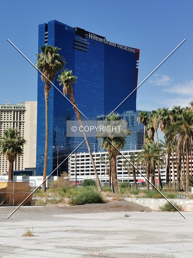 Elara by Hilton Grand Vacations by Nephilim