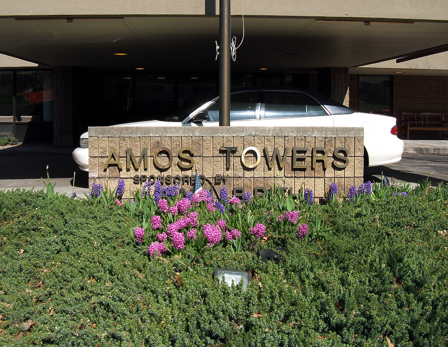 Amos Towers by John Cahill