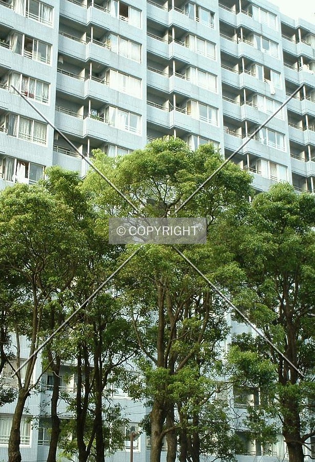 Horikawa Cho Heights by Andrew Stewart