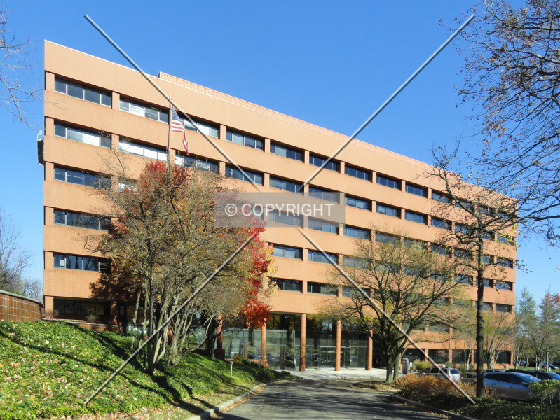 Three Bala Plaza East