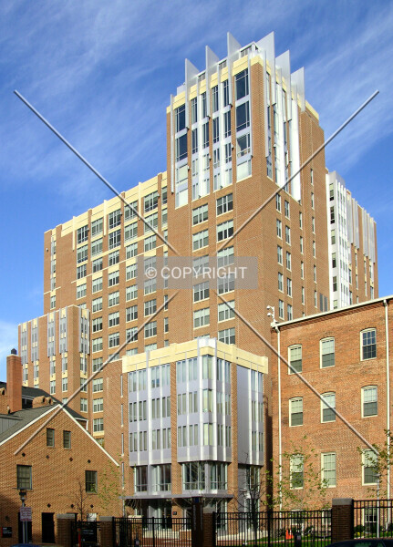 University Suites at Fayette Square