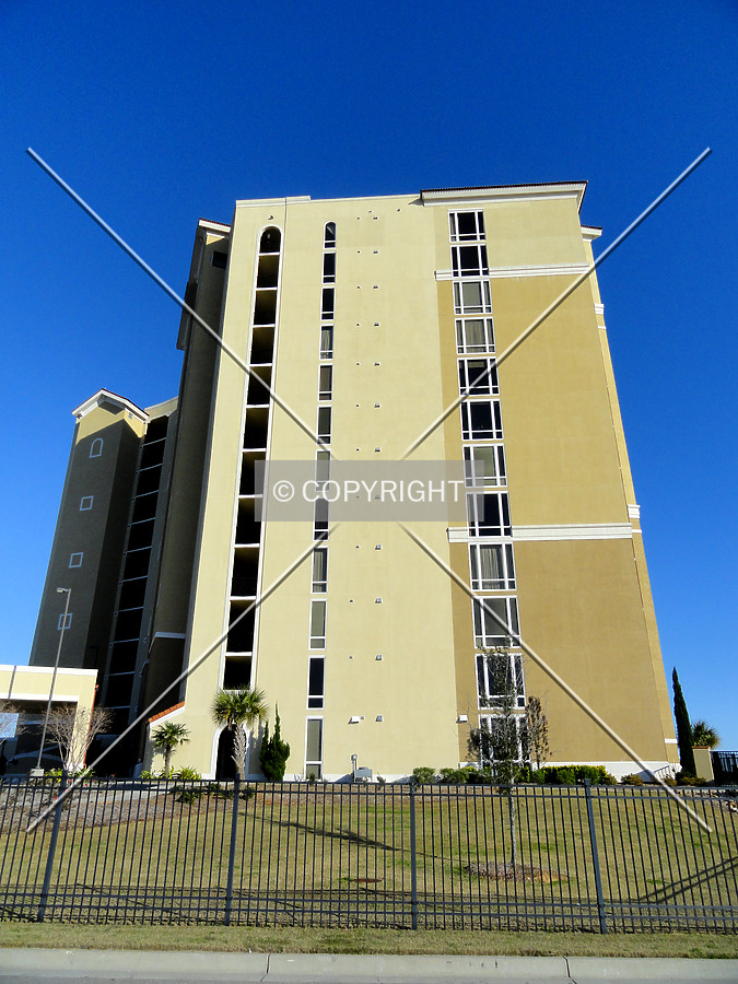 Sienna on the Coast by Chris Patriarca