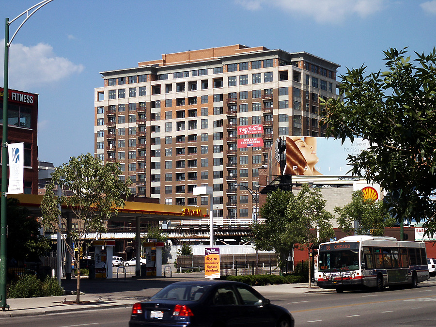 Parc Chestnut by Daniel Kieckhefer
