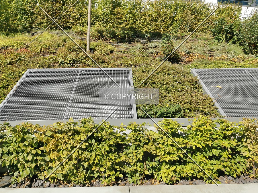 Praedium by Nephilim