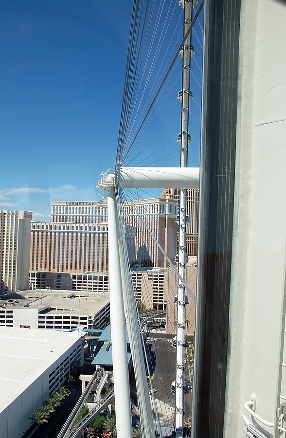 High Roller by Brian LoBue