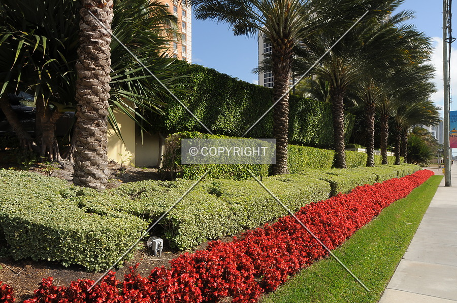 Acqualina Ocean Residences and Resort by Jorge Molina