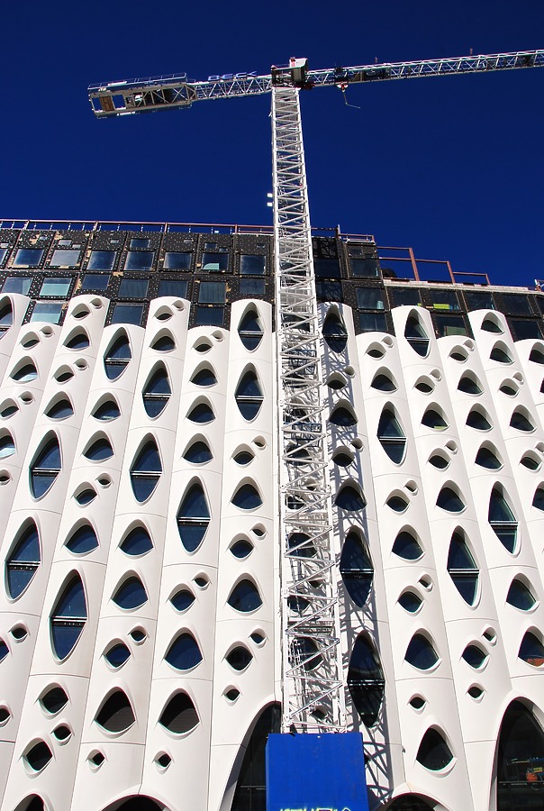 Populus by Brian LoBue