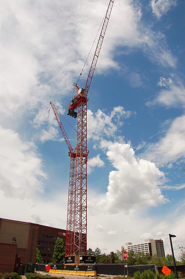 50 Fifty DTC by Brian LoBue