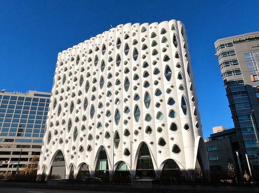 Populus by Brian LoBue