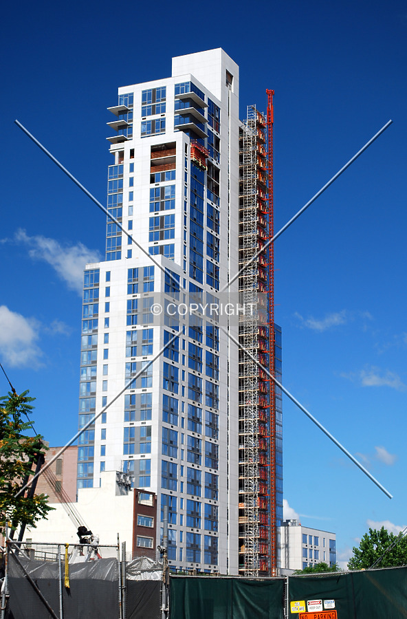 OHM by Royce Douglas